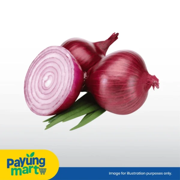 Bawang Merah Besar